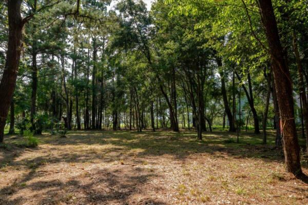 8467 MIDDLETON POINT LN, EDISTO ISLAND, SC 29438, photo 5 of 32