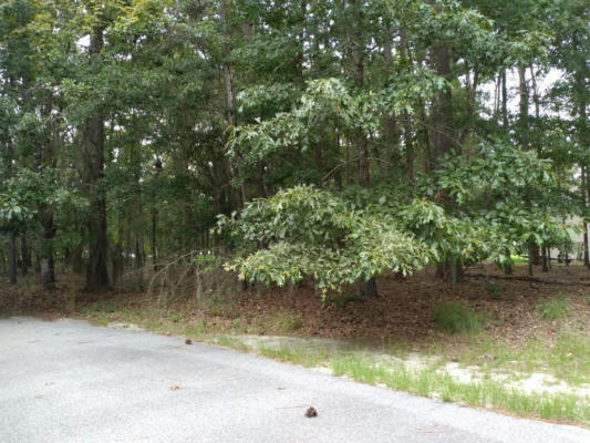 LOT 4 LAKE BREEZE, ELLOREE, SC 29047 - Image 1