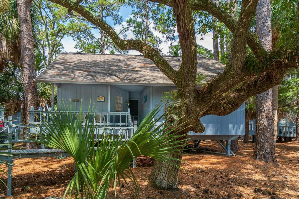 206 SEA CLOUD CIR, EDISTO ISLAND, SC 29438, photo 1 of 35