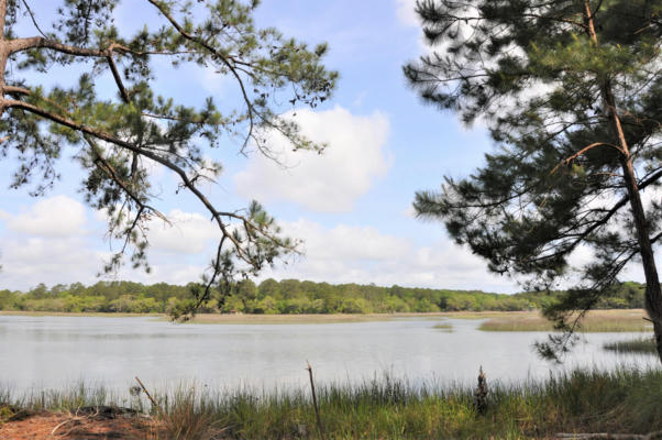 00 RANCH ROAD, WADMALAW ISLAND, SC 29487, photo 5 of 12