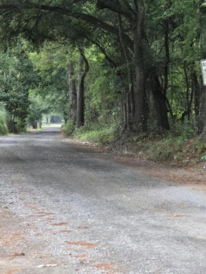 TBD RODENBERRY ROAD, CROSS, SC 29436 - Image 1