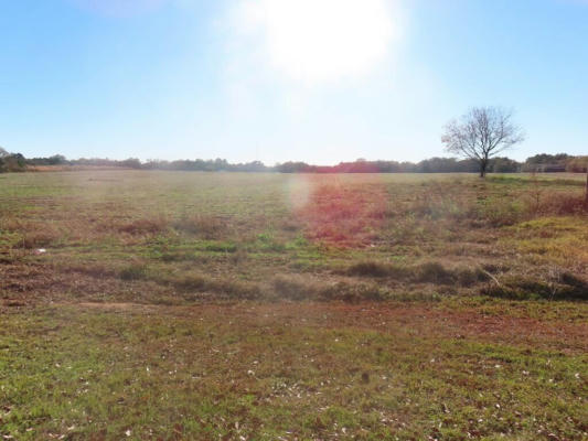 LOT 3 GRAVEYARD ROCK ROAD, SANTEE, SC 29142, photo 3 of 3