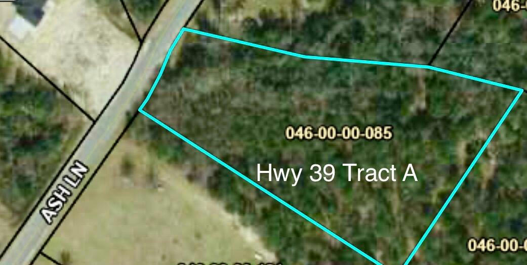 HWY 39 TRACT A/ASH LANE, WILLISTON, SC 29853, photo 1