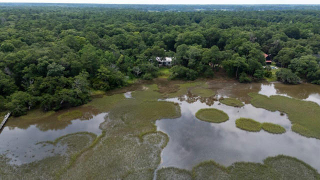 8440 CHISOLM PLANTATION RD, EDISTO ISLAND, SC 29438, photo 3 of 81