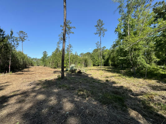0 OLD DAIRY RD # LOT 1, SUMMERVILLE, SC 29483, photo 3 of 23