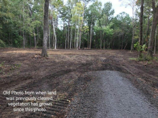 10725 N HIGHWAY 17, MCCLELLANVILLE, SC 29458, photo 2 of 2