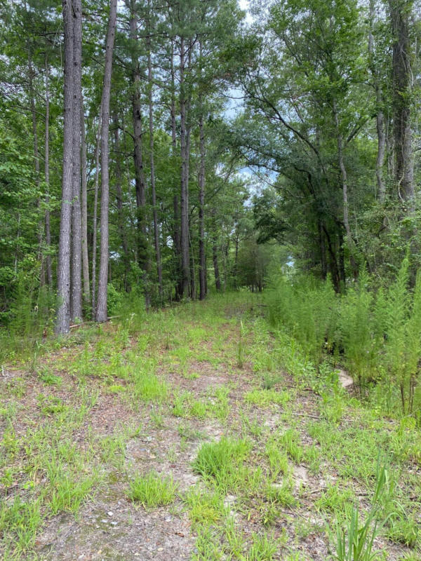 616 REBEL LN, COTTAGEVILLE, SC 29435, photo 1 of 5