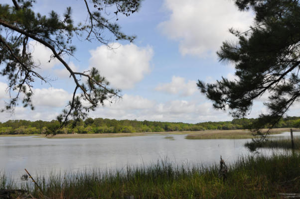 00 RANCH ROAD, WADMALAW ISLAND, SC 29487, photo 2 of 12