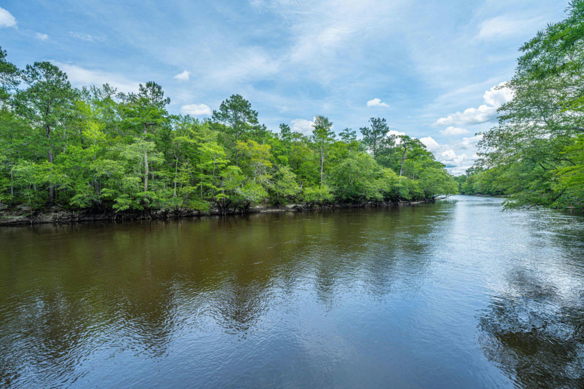 0 HANNIBAL TRAIL, RIDGEVILLE, SC 29472, photo 1 of 39