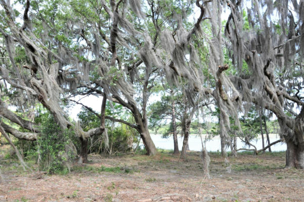 00 RANCH ROAD, WADMALAW ISLAND, SC 29487, photo 4 of 12