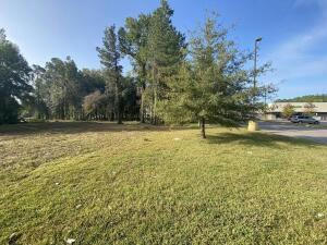0 OLD STATE ROAD, HOLLY HILL, SC 29059 - Image 1