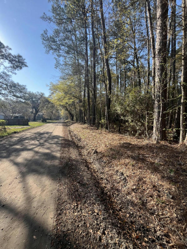 LOT #4A OLD MILITARY ROAD, ADAMS RUN, SC 29426, photo 1 of 4