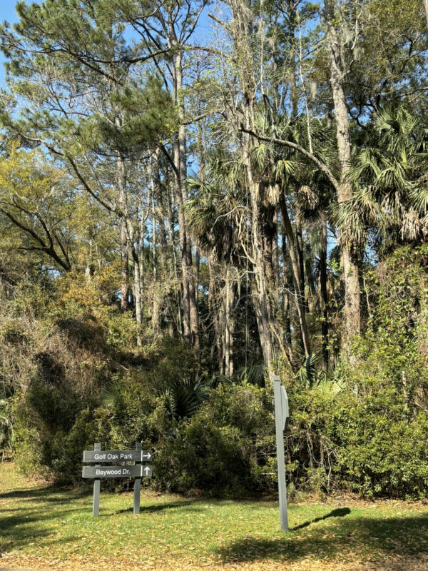 2464 GOLF OAK PARK, SEABROOK ISLAND, SC 29455, photo 1