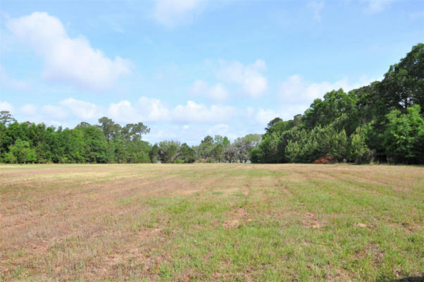 00 RANCH ROAD, WADMALAW ISLAND, SC 29487, photo 3 of 12