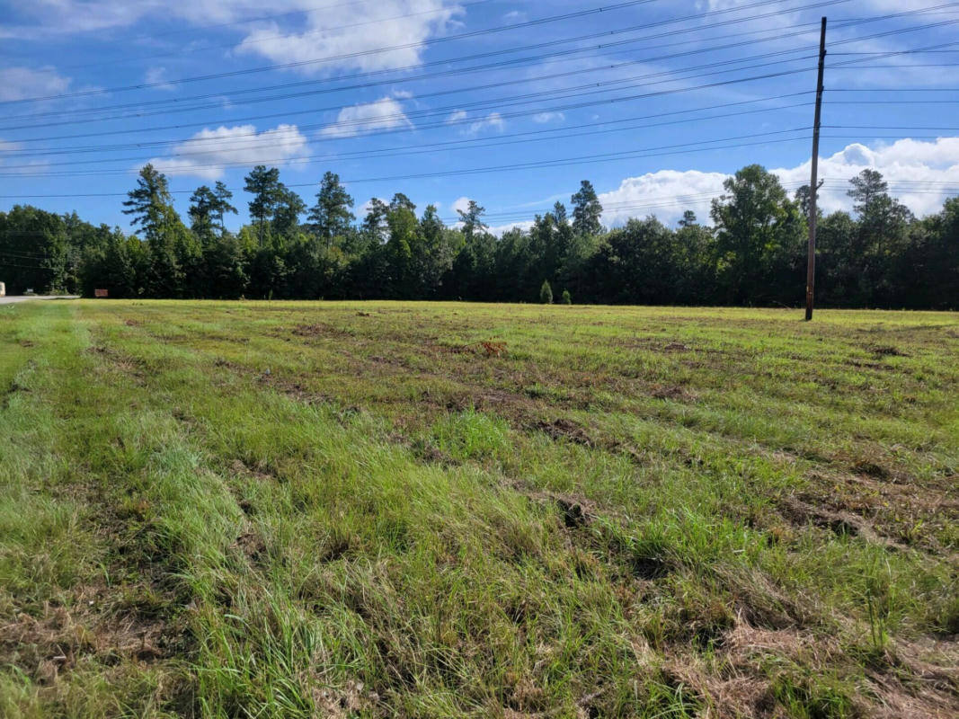 000 METTS SOUTH STREET, SAINT GEORGE, SC 29477, photo 1 of 17