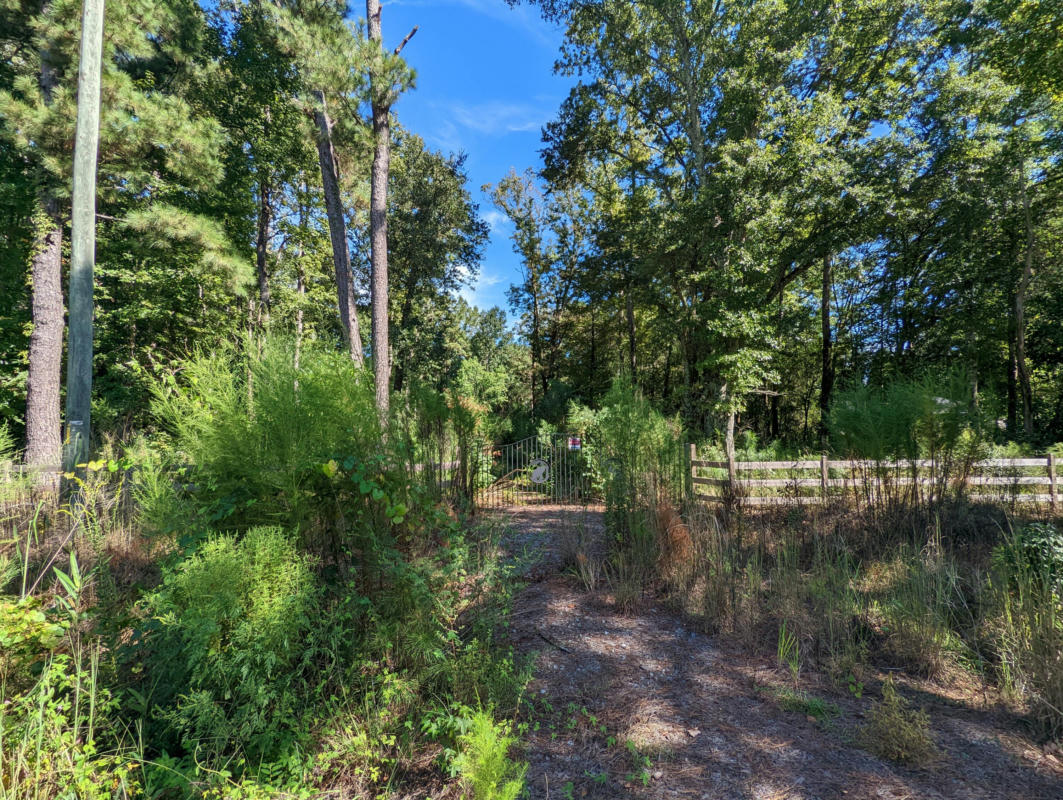 10725 N HIGHWAY 17, MCCLELLANVILLE, SC 29458, photo 1 of 2