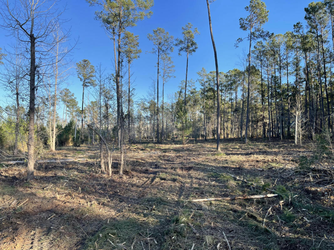 0 COUNTRYSIDE WAY # LOT 2, SUMMERVILLE, SC 29483, photo 1 of 6