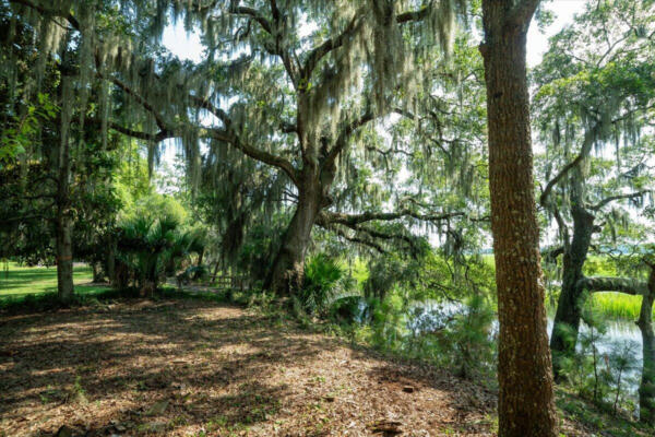 8467 MIDDLETON POINT LN, EDISTO ISLAND, SC 29438, photo 4 of 32