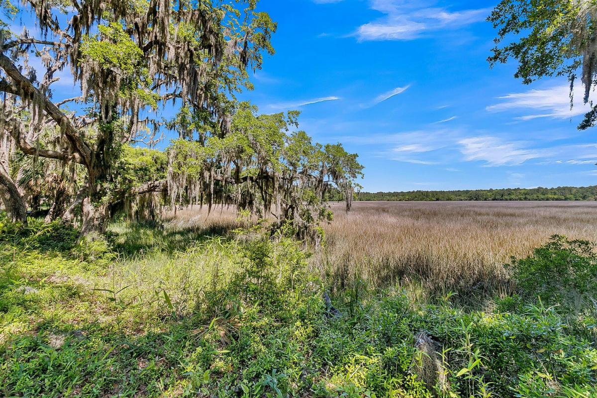 15183 BENNETTS POINT RD, GREEN POND, SC 29446, photo 1 of 40