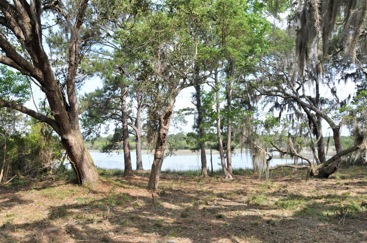 00 RANCH ROAD, WADMALAW ISLAND, SC 29487, photo 1 of 12