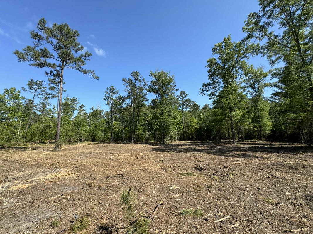 0 OLD DAIRY RD # LOT 1, SUMMERVILLE, SC 29483, photo 1 of 23