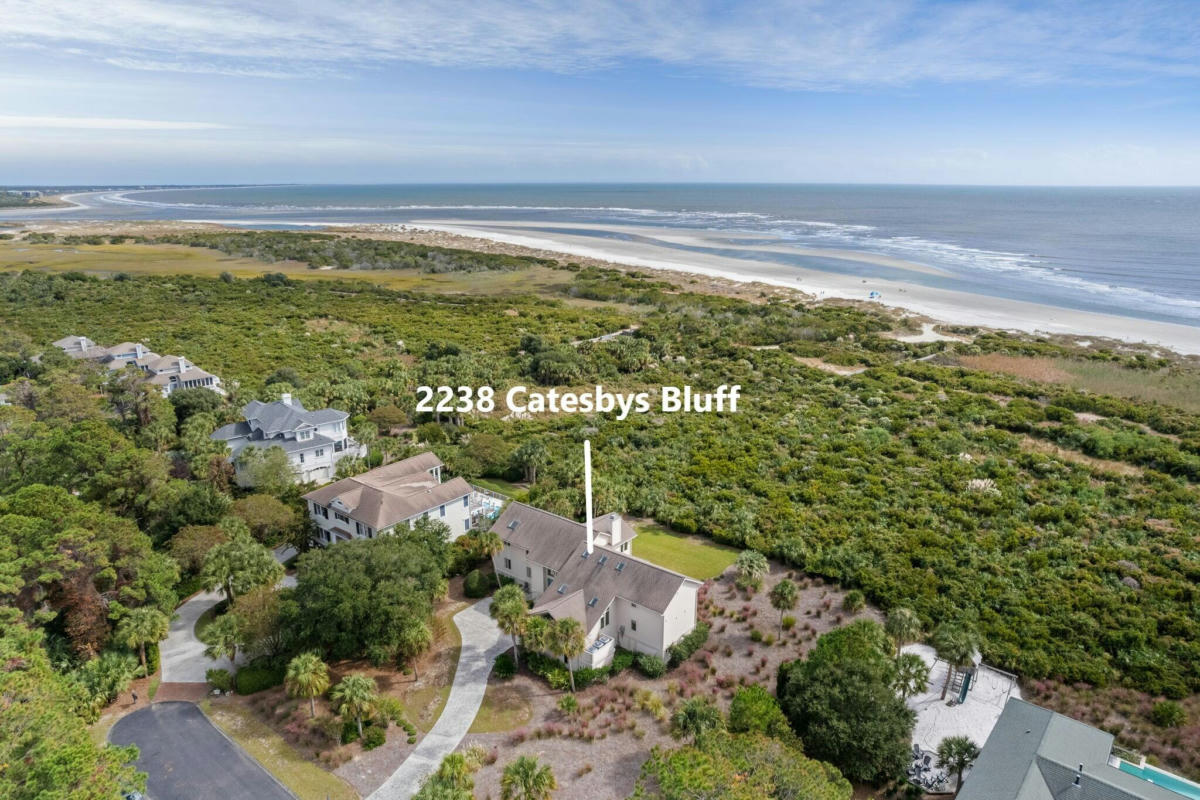 2238 CATESBYS BLF, SEABROOK ISLAND, SC 29455, photo 1 of 103