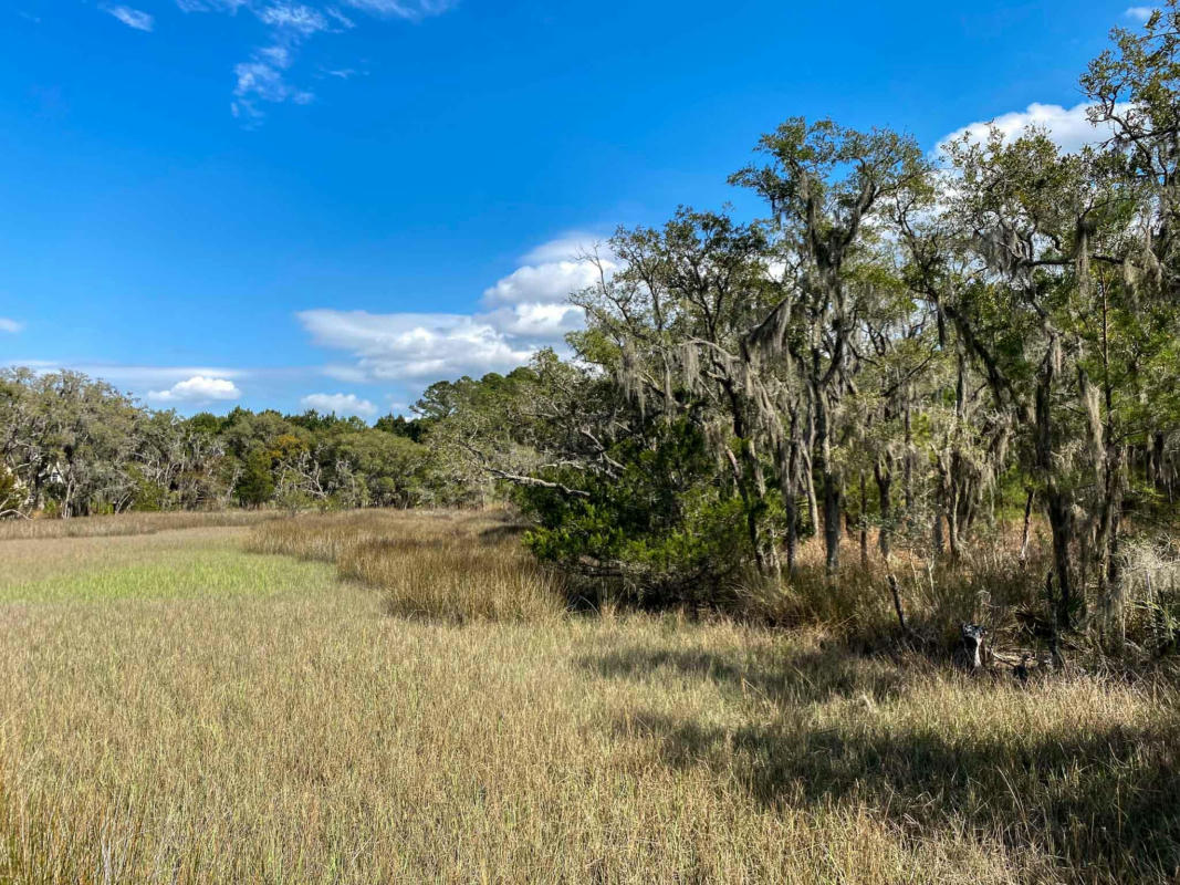 6026 ADMIRAL BLAKE LN, WADMALAW ISLAND, SC 29487, photo 1 of 14