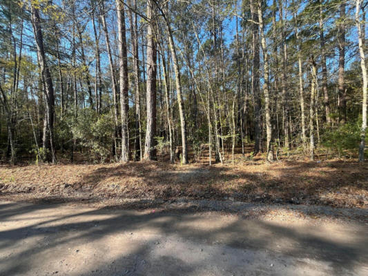 LOT 4B OLD MILITARY RD, ADAMS RUN, SC 29426 - Image 1