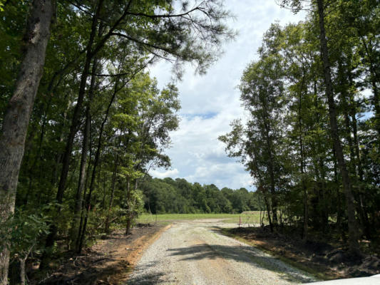 TBD COTTAGE LANE, SAINT STEPHEN, SC 29479 - Image 1