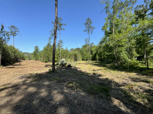 0 OLD DAIRY RD # LOT 1, SUMMERVILLE, SC 29483, photo 2 of 23