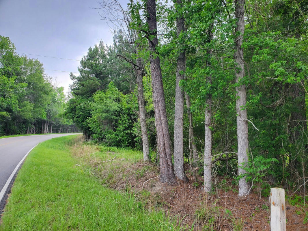 0 FIRST BEND ROAD, HARLEYVILLE, SC 29448, photo 1 of 3