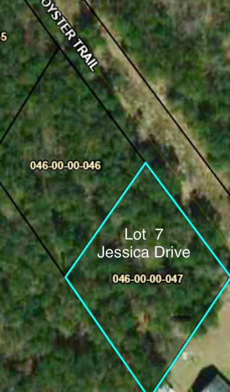 LOT 7 JESSICA DRIVE, WILLISTON, SC 29853, photo 1